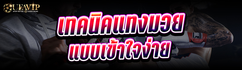 เทคนิคแทงมวยแบบเข้าใจง่าย