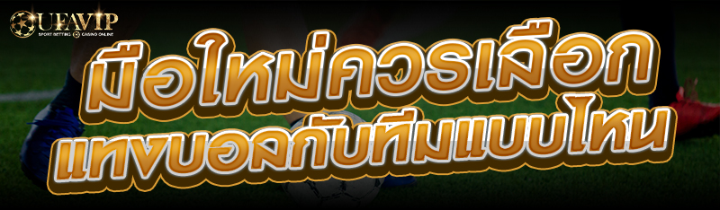 มือใหม่ควรเลือกแทงบอลกับทีมแบบไหน